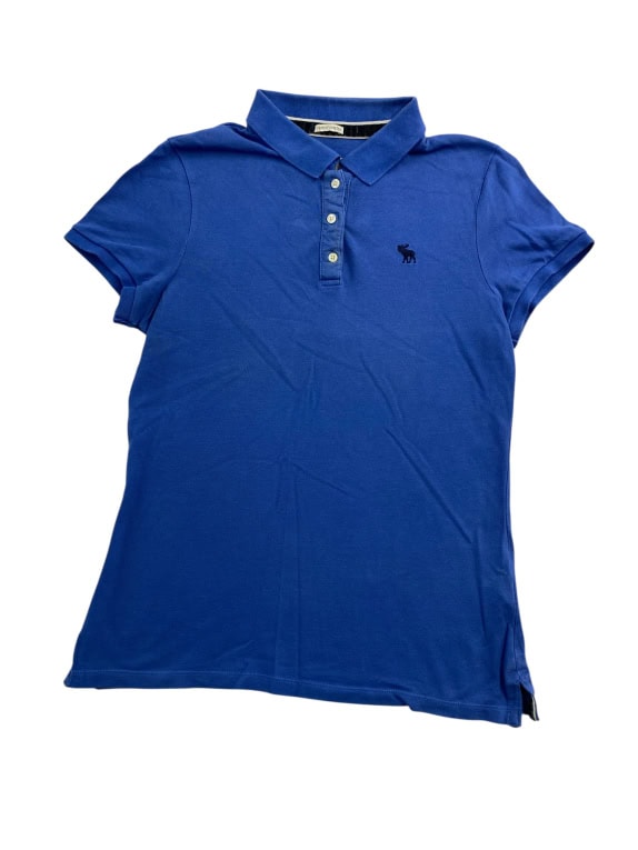 Abercrombie & Fitch Polo Shirt Casual Logo Μπλε Ανδρικό L