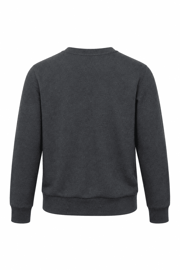 ALPHA INDUSTRIES CREWNECK MINIMAL CHARCOAL MEN PRE OWNED M