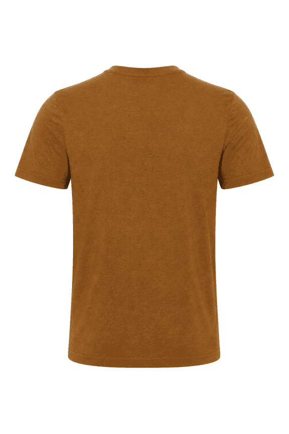 CARHARTT T SHIRT MINIMAL BROWN ΑΝΤΡΙΚΟ PRE OWNED XS