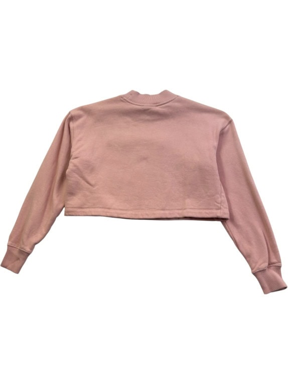 CHAMPION SWEATSHIRT CROPPED PINK WOMENS PRE OWNED S
