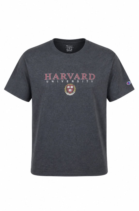 CHAMPION GRAPHIC TEE COLLEGE GREY MENS PRE OWNED L