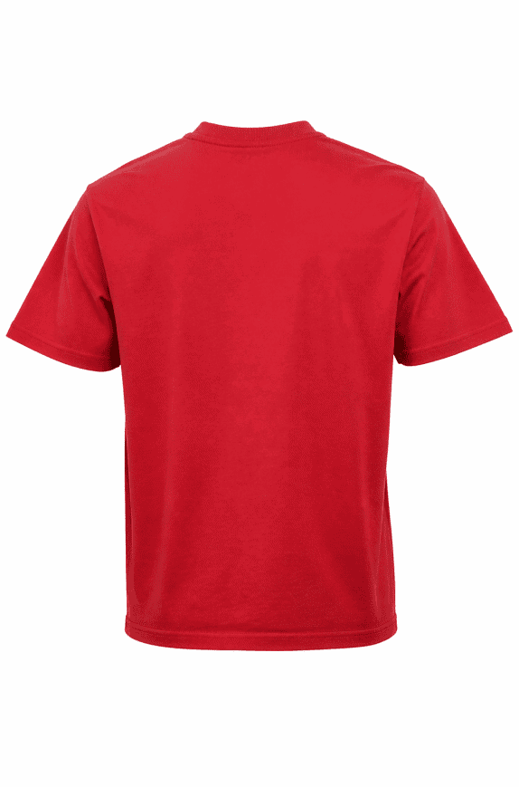 CHAMPION GRAPHIC TEE RED ΑΝΤΡΙΚΟ PRE OWNED S