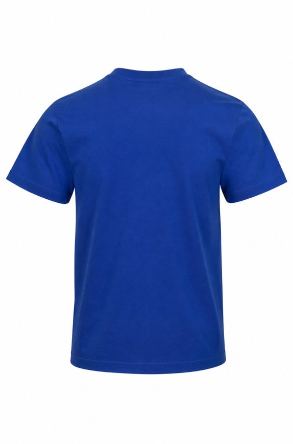 CHAMPION T SHIRT GRAPHIC STREETWEAR BLU UOMO PRE OWNED M