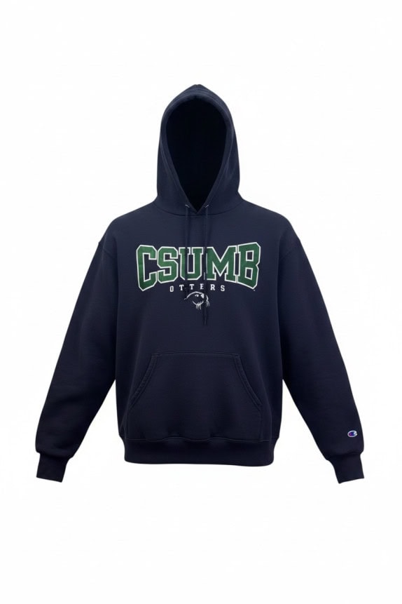 CHAMPION HOODIE COLLEGIATE NAVY UNISEX PRE OWNED M
