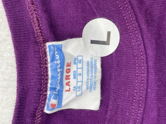 CHAMPION 90s LONGSLEEVE MINIMAL PURPLE ΑΝΤΡΙΚΟ PRE OWNED L