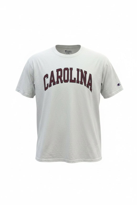 CHAMPION T SHIRT COLLEGIATE ΛΕΥΚΟ ΑΝΤΡΙΚΟ PRE OWNED L