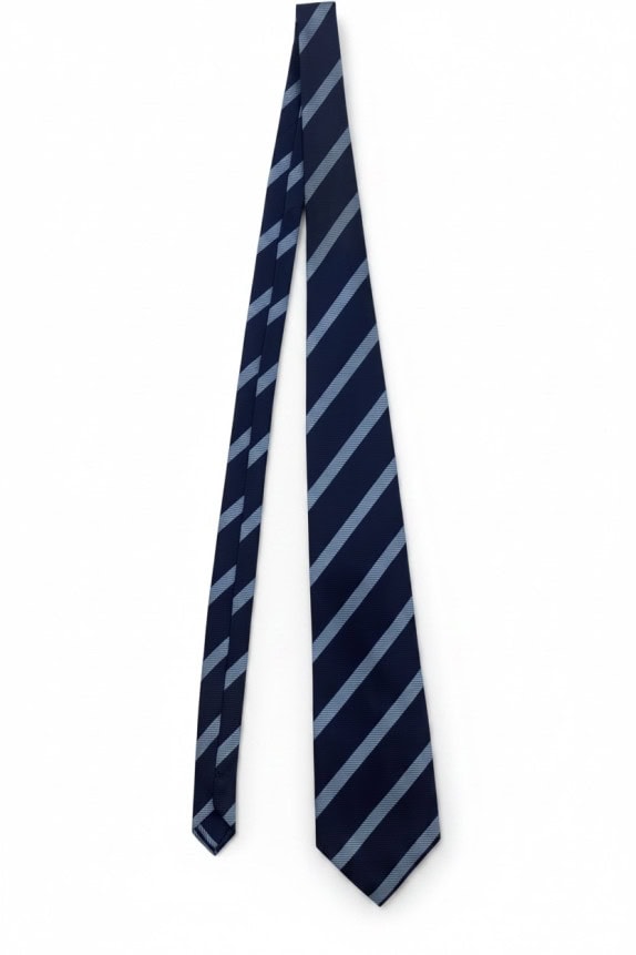 DINO MORI CRAVATTA CLASSICA RIGATA NAVY UOMO PRE OWNED