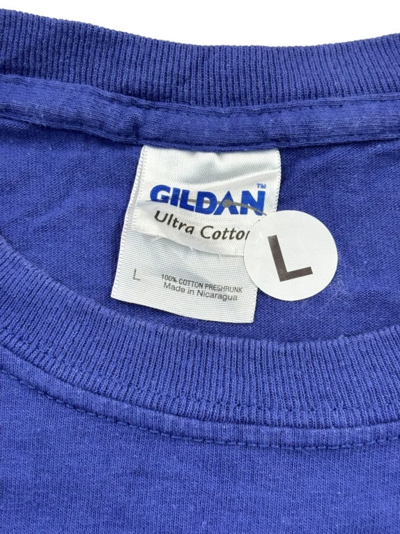 GILDAN T SHIRT GRAPHIC BLU UNISEX PRE OWNED L