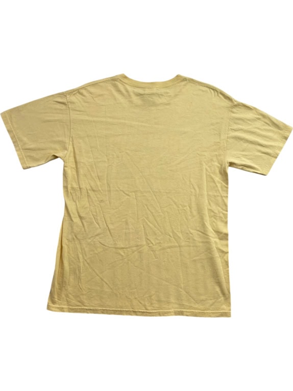 GILDAN T SHIRT VINTAGE 2009 STANLEY CUP CHAMPIONS YELLOW UNISEX MEDIUM pre-owned
