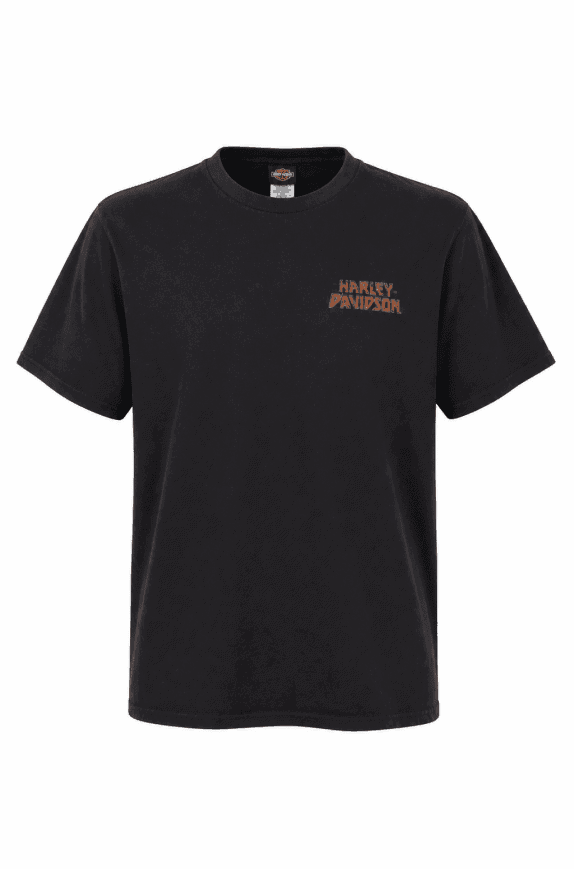 HARLEY DAVIDSON GRAPHIC TEE BLACK ΑΝΤΡΙΚΟ PRE OWNED XXL