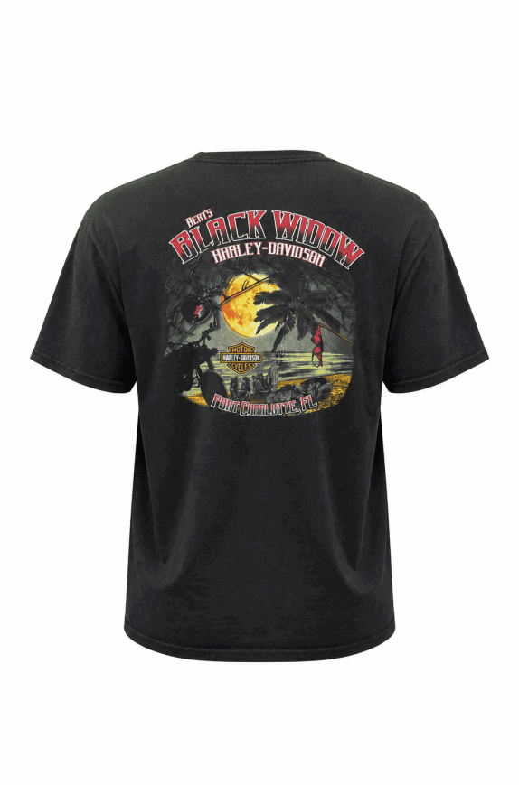 HARLEY DAVIDSON GRAPHIC TEE BLACK ΑΝΤΡΙΚΟ PRE OWNED XXL