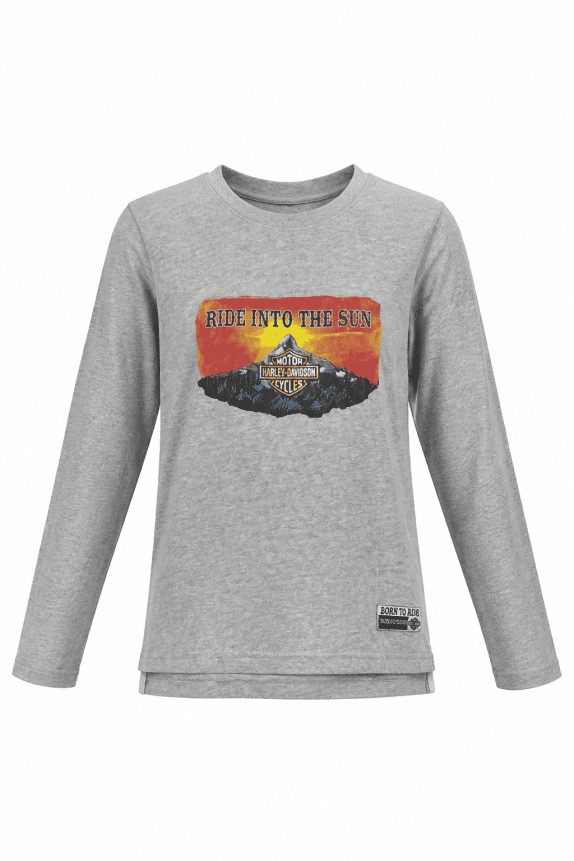 2010s HARLEY DAVIDSON T SHIRT GRAPHIC RETRO GRIGIO UOMO PRE OWNED M