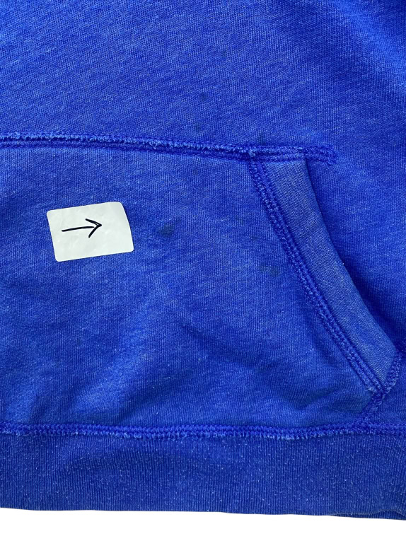 Hollister Hoodie Sweatshirt Casual Logo Print Blue Women’s S