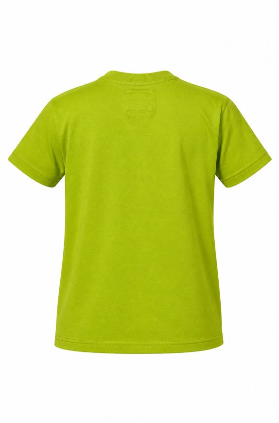 HOLLISTER POLO SHIRT MINIMAL LIME ΑΝΤΡΙΚΟ PRE OWNED L