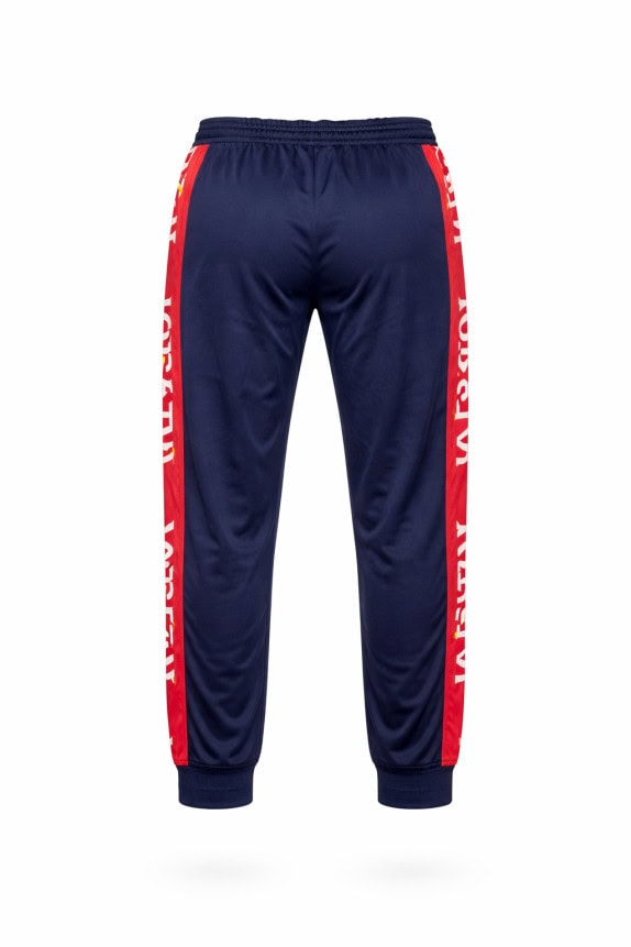 JORDAN ΠΑΝΤΕΛΟΝΙ ΦΟΡΜΑΣ STREETWEAR ΜΠΛΕ ΑΝΤΡΙΚΟ PRE OWNED L