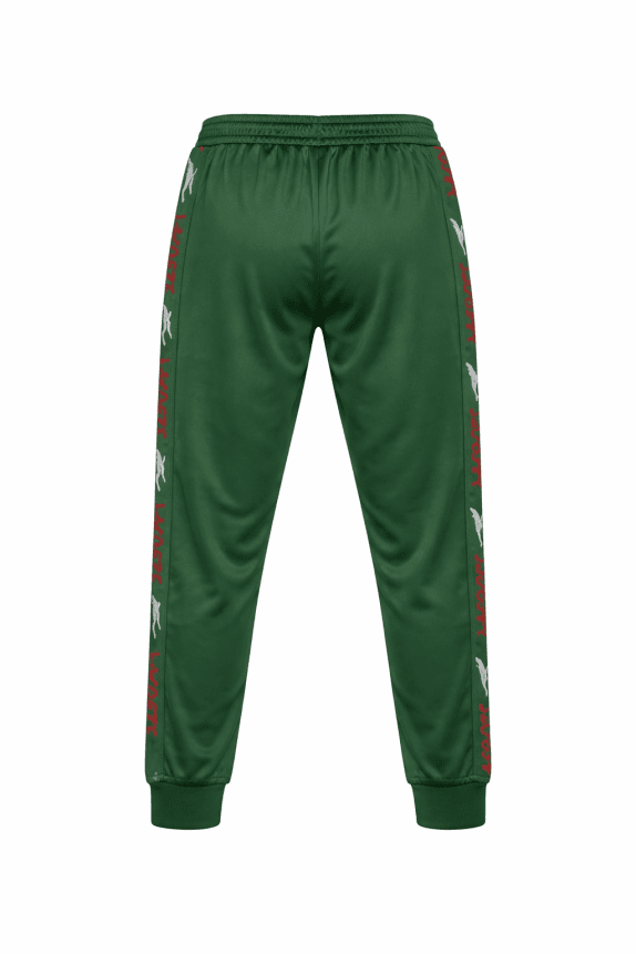 LACOSTE ΠΑΝΤΕΛΟΝΙ ΦΟΡΜΑΣ SPORTY ΠΡΑΣΙΝΟ ΑΝΤΡΙΚΟ PRE OWNED L