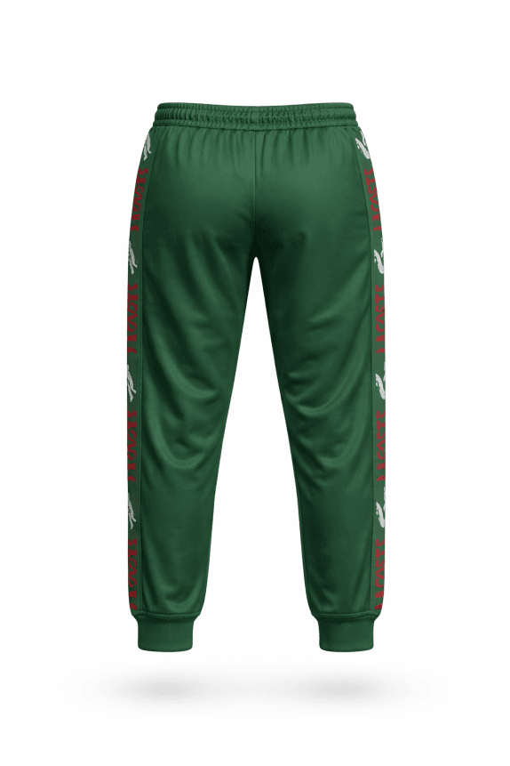 LACOSTE PANTALONI TUTA STREETWEAR VERDE UOMO PRE OWNED L