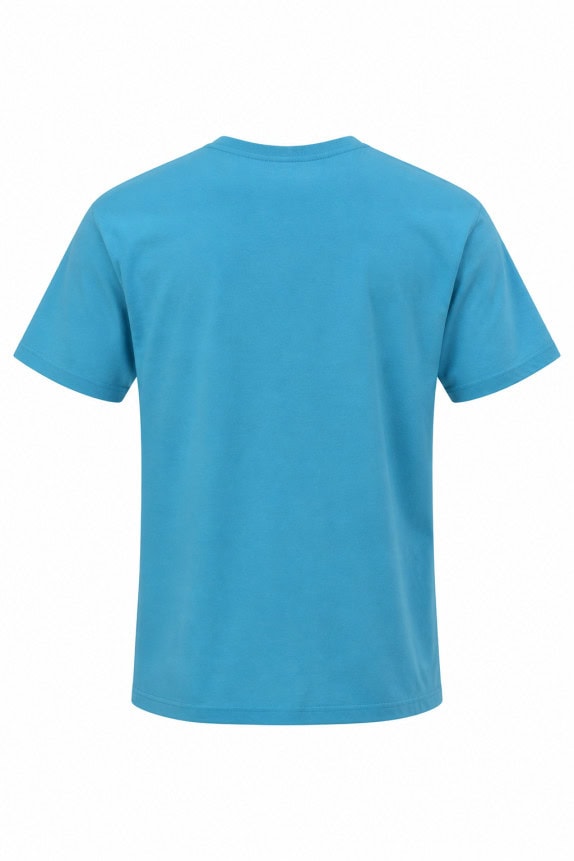 LEVIS T SHIRT GRAPHIC ΓΑΛΑΖΙΟ ΑΝΤΡΙΚΟ PRE OWNED XL