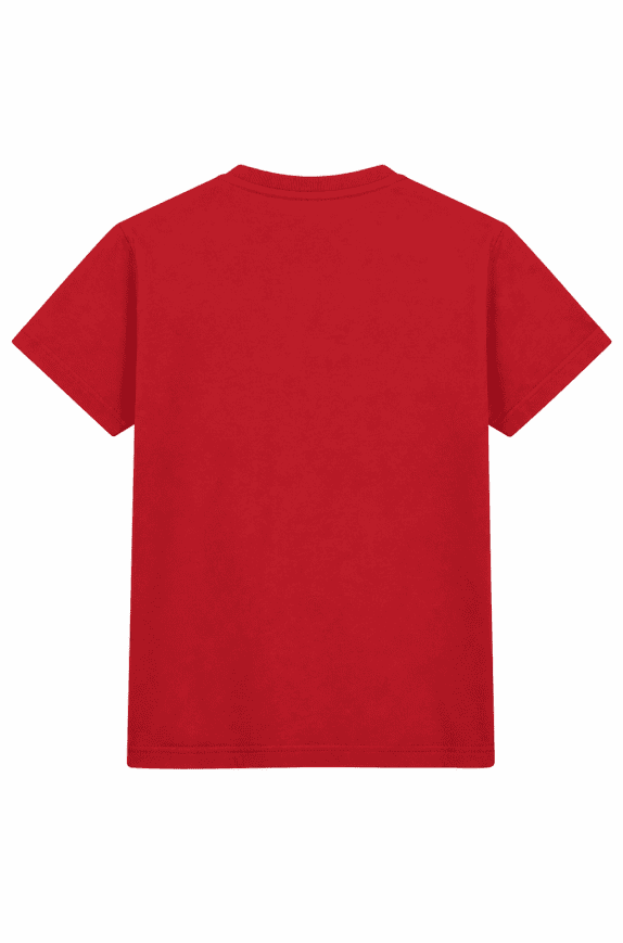 MAJESTIC GRAPHIC TEE RED ΑΝΤΡΙΚΟ PRE OWNED M