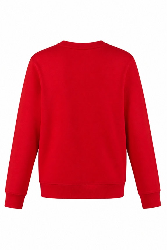 NIKE CREWNECK MINIMAL RED ΑΝΤΡΙΚΟ PRE OWNED S