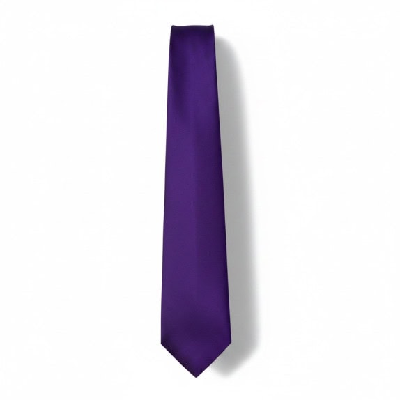 PAL ZILERI NECKTIE CLASSIC PURPLE MENS PRE OWNED