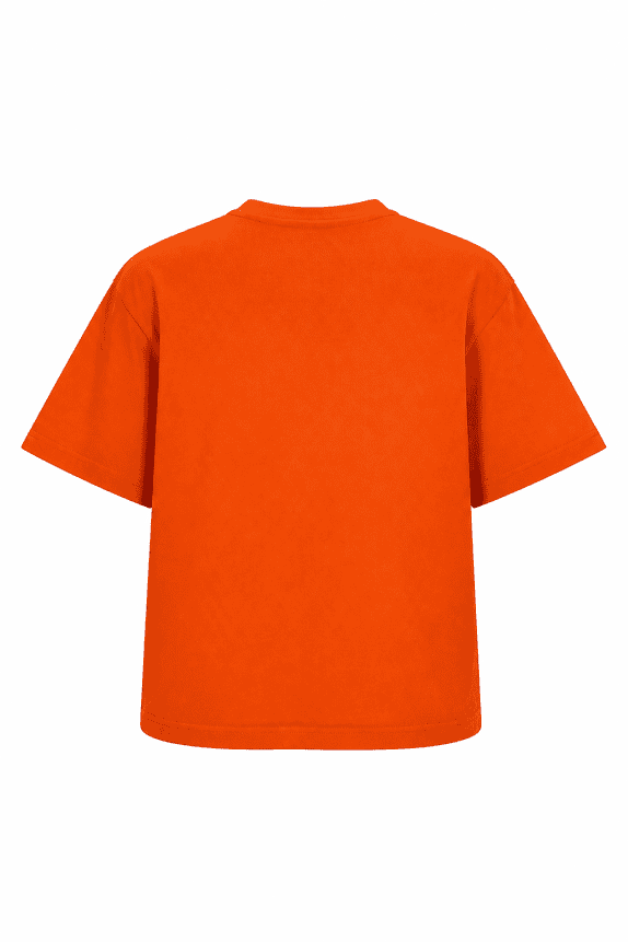 RUSSELL ATHLETIC GRAPHIC TEE STREETWEAR ORANGE ΑΝΤΡΙΚΟ PRE OWNED 2XL/2XG