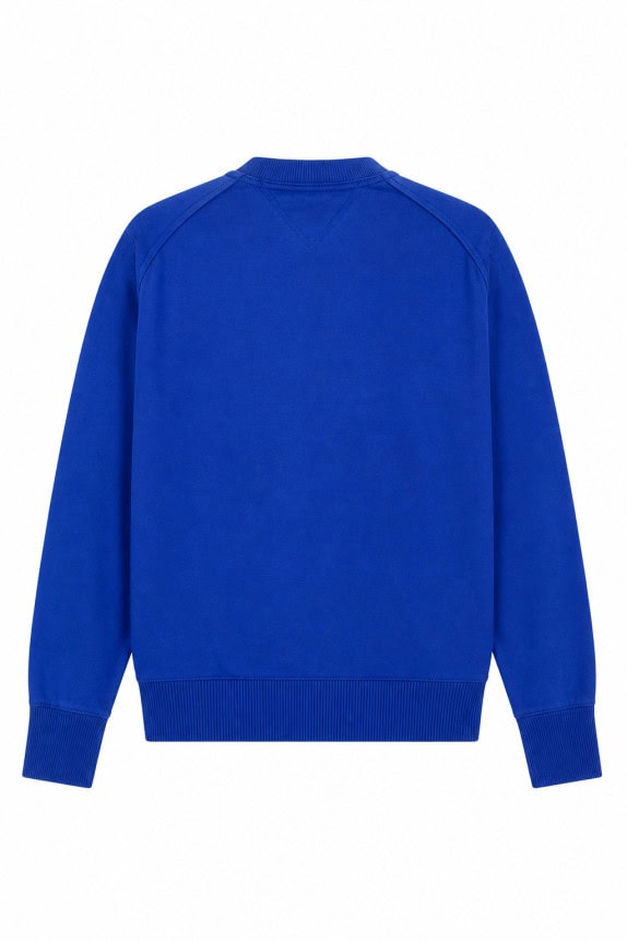 TOMMY HILFIGER ΦΟΥΤΕΡ ΜΠΛΟΥΖΑ GRAPHIC ΜΠΛΕ ΑΝΤΡΙΚΟ PRE OWNED L