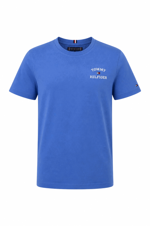 TOMMY HILFIGER T SHIRT MINIMAL BLU UOMO PRE OWNED S