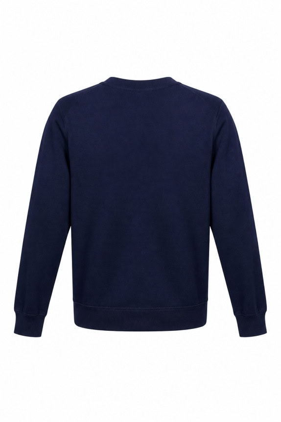 TOMMY HILFIGER ΠΟΥΛΟΒΕΡ ΜΕ V ΚΛΑΣΙΚΟ ΜΠΛΕ ΑΝΤΡΙΚΟ PRE OWNED XXL
