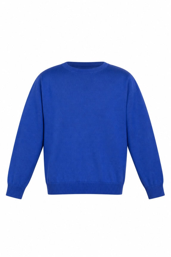 TOMMY HILFIGER PULLOVER MINIMAL BLUE MEN PRE OWNED XL