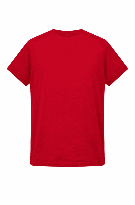 TOMMY HILFIGER T SHIRT MINIMAL RED ΑΝΤΡΙΚΟ PRE OWNED M