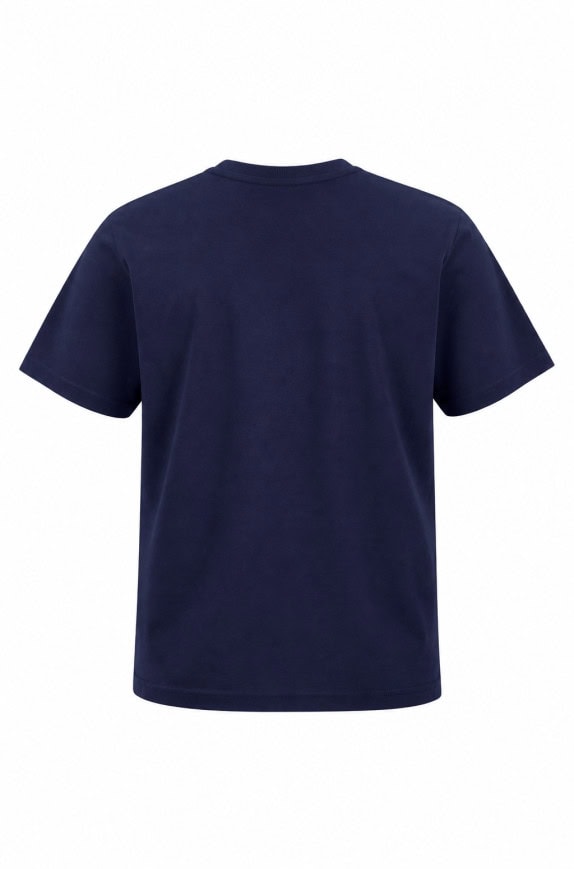 U.S. POLO ASSN T SHIRT GRAPHIC BLU UOMO PRE OWNED M
