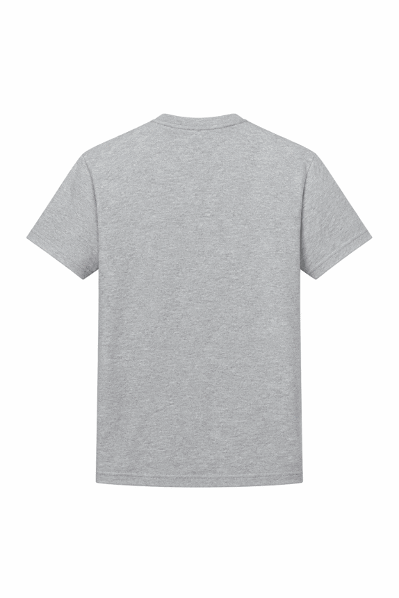 US POLO ASSN T SHIRT MINIMAL GREY MEN PRE OWNED XL
