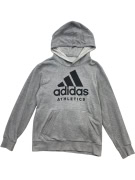 Adidas Hoodie Big Logo Γκρι Unisex L