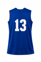 ALL SPORT NBA JERSEY CLASSIC BLUE MEN PRE OWNED M