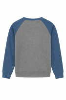 AMERICAN EAGLE OUTERWEAR SWEATSHIRT GRAPHIC ΓΚΡΙ ΜΠΛΕ ΑΝΤΡΙΚΟ PRE OWNED S