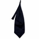 CARLO PIGNATELLI ΓΡΑΒΑΤΑ CLASSIC NAVY ΑΝΤΡΙΚΟ PRE OWNED