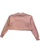 CHAMPION SWEATSHIRT CROPPED PINK WOMENS PRE OWNED S