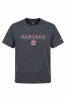 CHAMPION GRAPHIC TEE COLLEGE ΓΚΡΙ ΑΝΤΡΙΚΟ PRE OWNED L