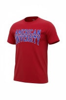 CHAMPION GRAPHIC TEE COLLEGIATE ΚΟΚΚΙΝΟ ΑΝΤΡΙΚΟ PRE OWNED L