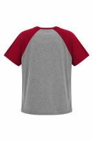 CHAMPION GRAPHIC TEE SPORTY GREY RED ΑΝΤΡΙΚΟ PRE OWNED M