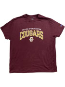 CHAMPION T-SHIRT COLLEGE OF CHARLESTON COUGARS ΛΟΓΟΤΥΠΟ ΜΠΟΡΝΤΟ UNISEX XL pre-owned