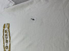 G STAR RAW T SHIRT GRAPHIC ΛΕΥΚΟ ΑΝΤΡΙΚΟ PRE OWNED XL