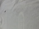 G STAR RAW T SHIRT GRAFICA BIANCA UOMO PRE OWNED XL