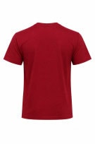 HOLLISTER GRAPHIC TEE MINIMAL RED ΑΝΤΡΙΚΟ PRE OWNED M
