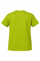 HOLLISTER POLO SHIRT MINIMAL LIME ΑΝΤΡΙΚΟ PRE OWNED L