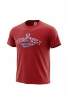 JERZEES GRAPHIC TEE COLLEGIATE RED UNISEX PRE OWNED L