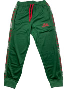LACOSTE ΠΑΝΤΕΛΟΝΙ ΦΟΡΜΑΣ ATHLEISURE ΜΕ SIDE LOGO TAPE ΠΡΑΣΙΝΟ ΑΝΔΡΙΚΟ S