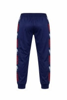 LACOSTE TRACK PANTS LOGO BLUE MEN PRE OWNED L