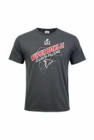 NFL TEAM APPAREL GRAPHIC TEE ΓΚΡΙ ΑΝΤΡΙΚΟ PRE OWNED XL